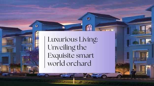 Luxurious Living